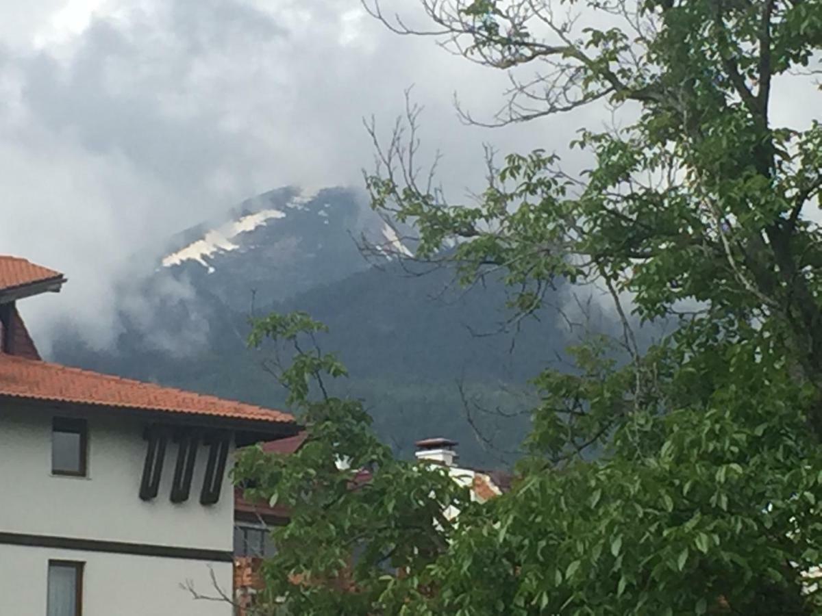 Belvedere Holiday Apartment Bansko Esterno foto