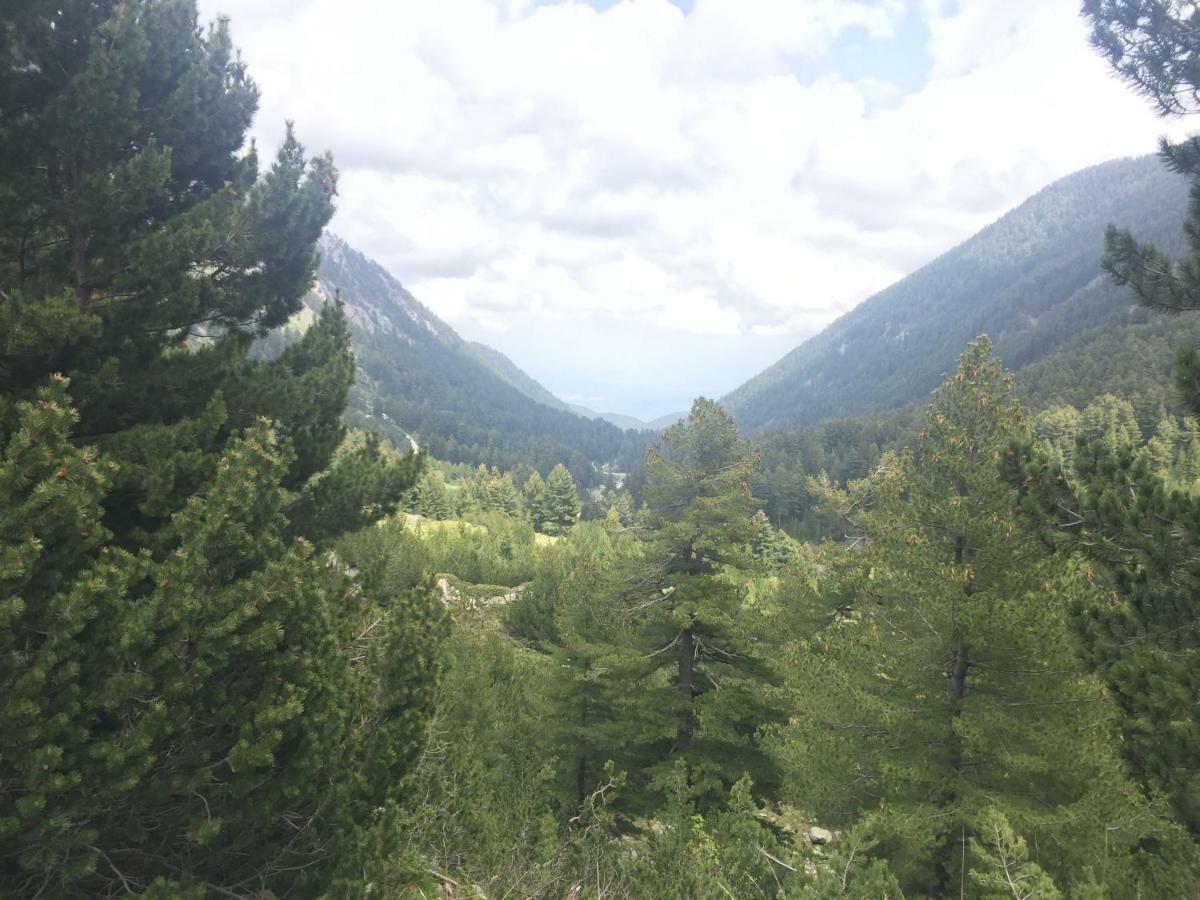 Belvedere Holiday Apartment Bansko Esterno foto